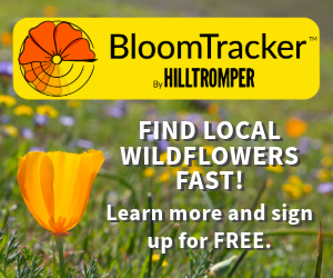 Hilltromper's BloomTracker helps you find local wildflowers fast!