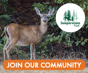 Sempervirens Fund - Join Our Community