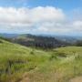 Russian Ridge is considered one of the best five places in the Bay Area to see wildflowers. 