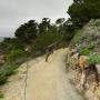 Many of the California state parks Google has photographed with its Street View Trekker, including Point Lobos State Reserve, are in or around Big Sur.