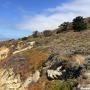 A Trekker view of Julia Pfeiffer Burns State Park.