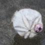 The perfect sand dollar.