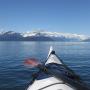The Prince William Sound has breathtakingly beautiful views of huge mountains and tidal glaciers.