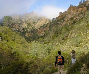 Two hikers look up Condor Gulch Trail at Pinnacles National Park. Photo credit: Miguel Vieira/Creative Commons. 