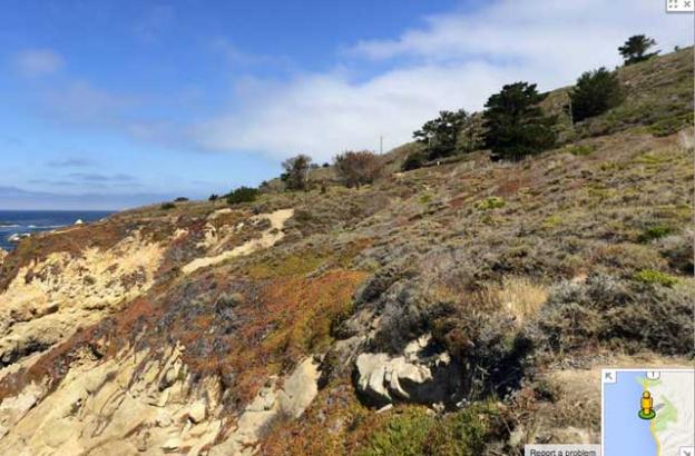 A Trekker view of Julia Pfeiffer Burns State Park.