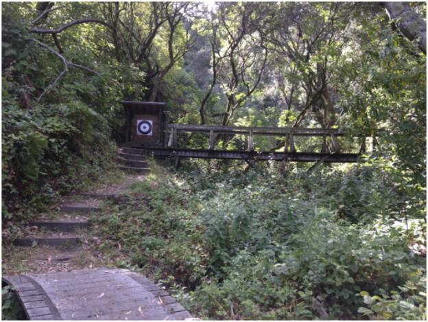 The outdoor range: just like Sherwood Forest.