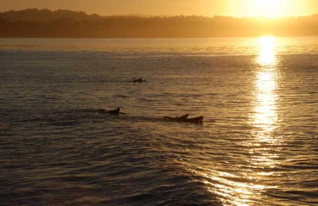 Morning came early on the first day back in the water after five dry years. Sally Smith-Weymouth photo.
