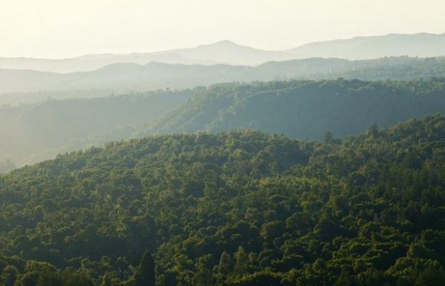 No one's trying to turn the Cemex property into a national monument. Yet. Photo by William Matthias.