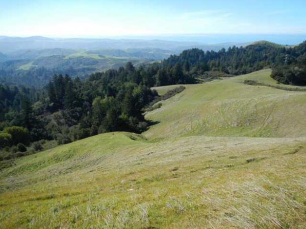  The view west from La Honda Creek Open Space Preserve.