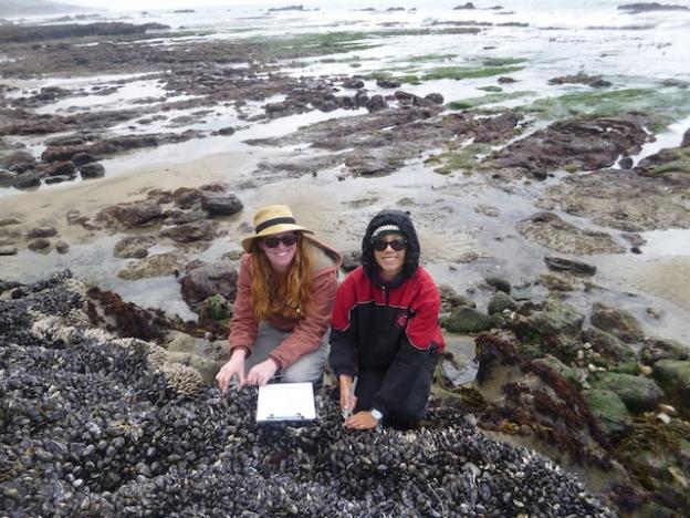 Monica and her research assistant Courtenay are seen here kneeling on a mussel bed. Photo courtesy Monica Moritsch
