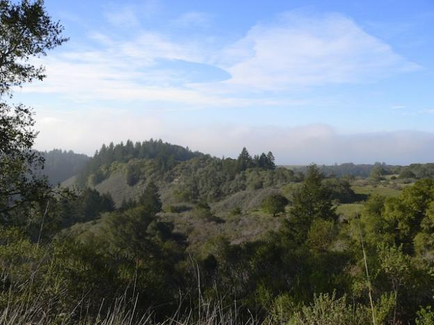 On April 21 the Santa Cruz County Supervisors consider a resolution in support of designating the Coast Dairies property a national monument. Photo courtesy Santa Cruz Redwoods National Monument Campaign.