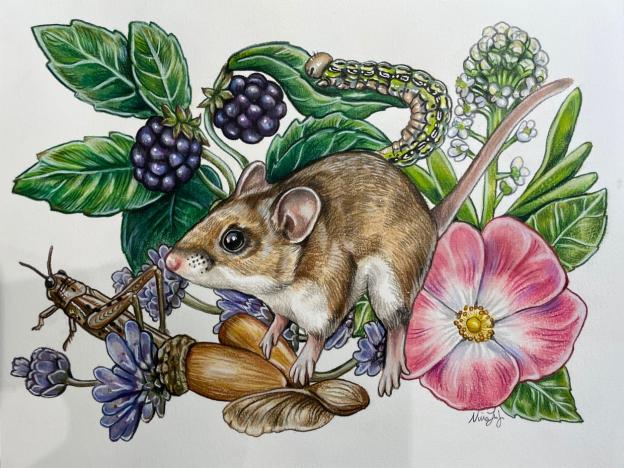 The Art of Scientific Illustration image 3