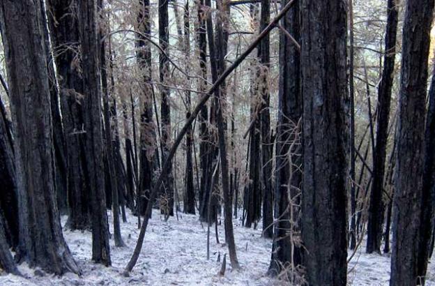 Dec. 20: The beauty of destruction. Dec. 20: The beauty of destruction.