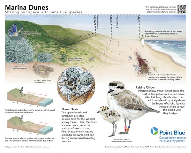 The Art of Scientific Illustration image 4