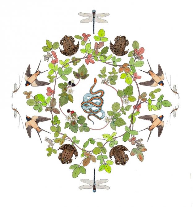 Seven Ravens Studio Seven Ravens Studio