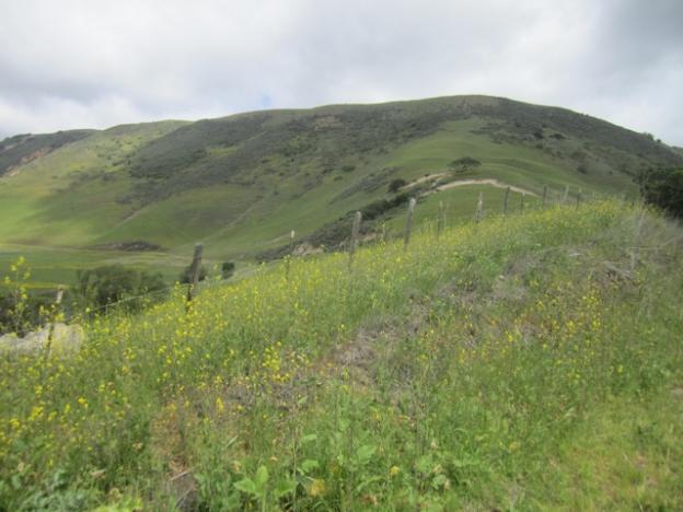 Open space districts can protect ag lands as well as establish parks. Hilltromper photo.