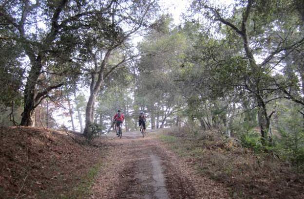 To the Top of The World! HT photo.