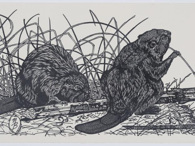 Detail: Tulare Ghosts Beaver by Molly Brown Detail: Tulare Ghosts Beaver by Molly Brown