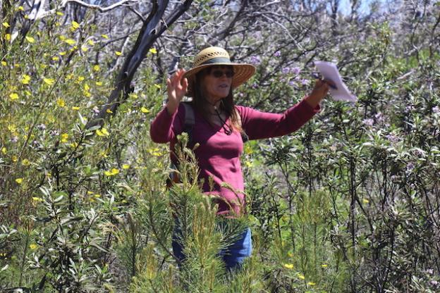 Botanist Valerie Hailey leads a walk through Bonny Doon Ecological Preserve on May 7. 