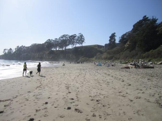 Some ladies and a dog working on their fitness at New Brighton SB. Hilltromper photo. 