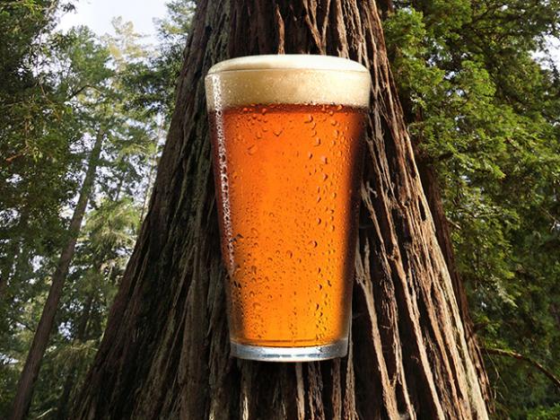 Santa Cruz Mountain Brewing is donating $1 from each pint sold on Thursday, Aug. 15 to Friends of Santa Cruz State Parks.