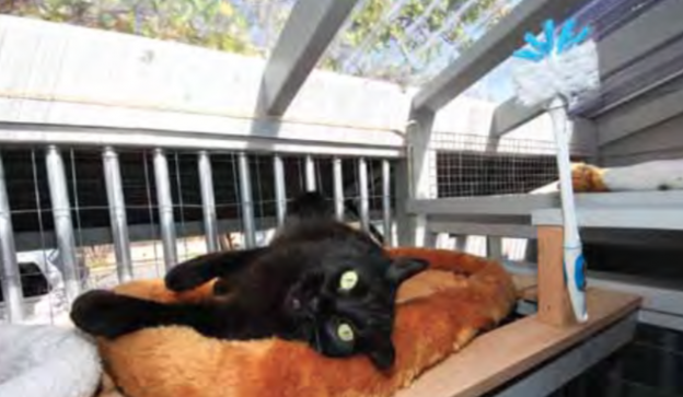 Everybody's safe and sound. 