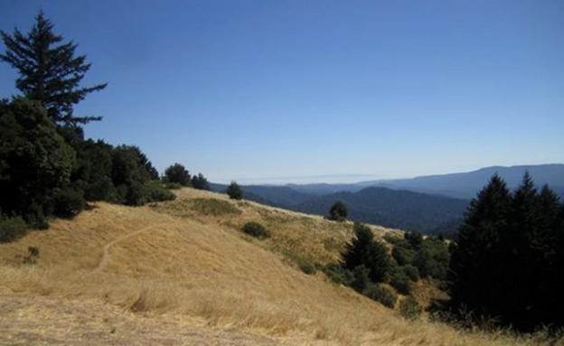 View of hills and a trail on Skyline to the Sea Trail. Hilltromper photo. 