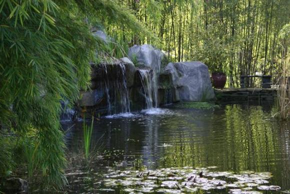 Waterfalls and a pond await at Bamboo Giant, 38 acres of landscaped bamboo nursery on Freedom Boulevard. Bamboo Giant photo.