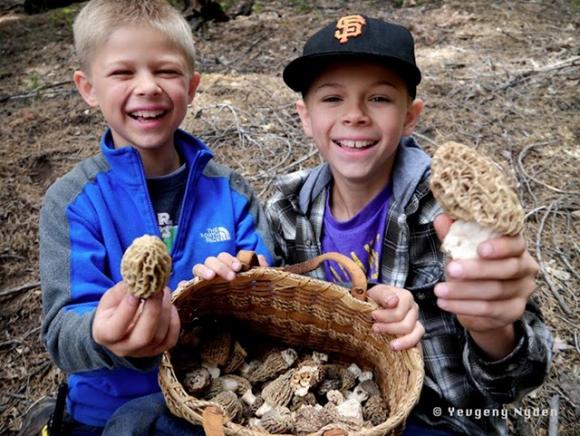 Everyone got in on the mushroom-gathering act this year. Photo by Yevgeny Nyden.