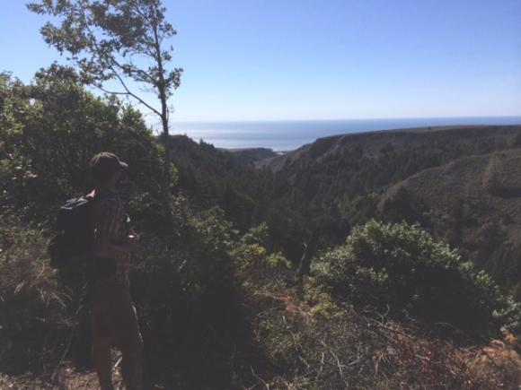 Looking down the West Liddell Creek ravine at Coast Dairies. 