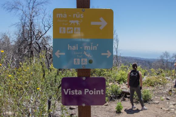 Vista Point at San Vicente Redwoods, photo copyright Mike Kahn.