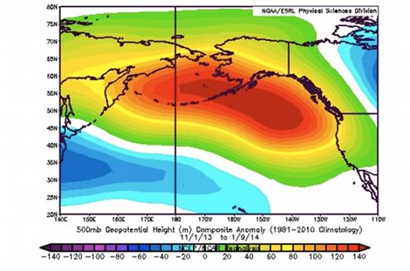 NOAA image showing the air mass, dubbed "the Ridiculously Resilient Ridge." It's been in place for 13 months.