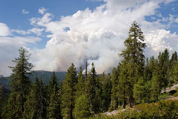 Rim Fire in Yosemite, viewed from Tioga Road, August 2013. Photo by King of Hearts via Wikimedia Commons.