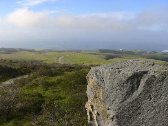 View from the proposed Cotoni-Coast Dairies National Monument. Photo by Ian Bornarth.
