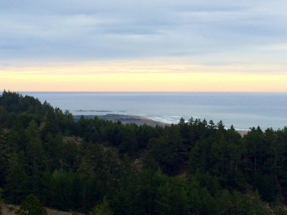 View of Point Ano Nuevo from Whitehouse Ridge Trail. Photo by Allison Titus.