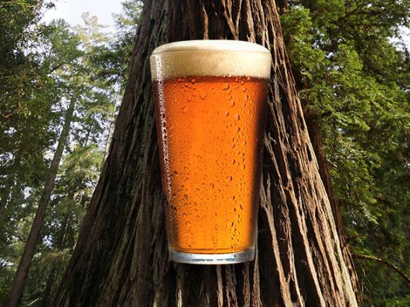Santa Cruz Mountain Brewing is donating $1 from each pint sold on Thursday, Aug. 15 to Friends of Santa Cruz State Parks.