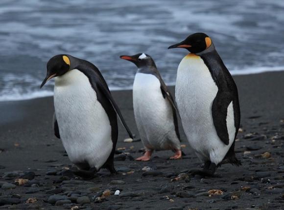 You're well fed, dressed for weather and you've got people in town. Time to step out!  Photo by Liam Quinn.