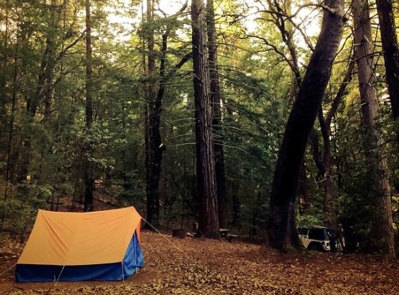 Want to sleep under a redwood? The Great Park has almost 500 campsites designed for that very purpose. 