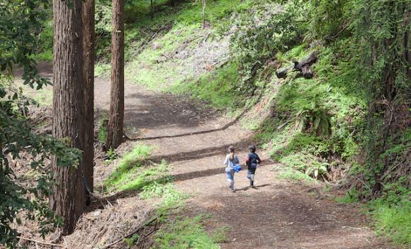 The Land Trust of Santa Cruz County wants to build 45 miles of trail in the next five years. Paul Zaretsky photo.